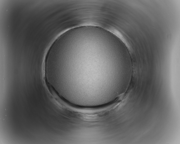 X0000089731140200707051734