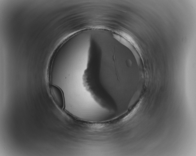 X0000089731141200707051734