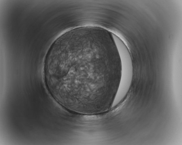 X0000089731142200707051734