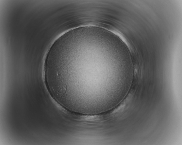 X0000089731143200707051734