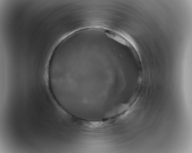 X0000089731144200707051734