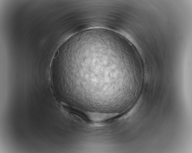 X0000089731145200707051734