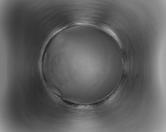 X0000089731146200707051734