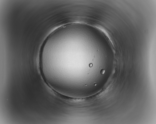 X0000089731147200707051734