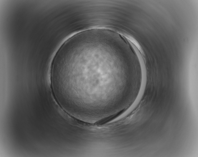 X0000089731148200707051734