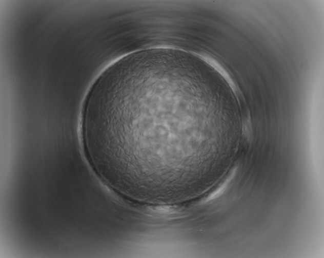 X0000089731149200707051734