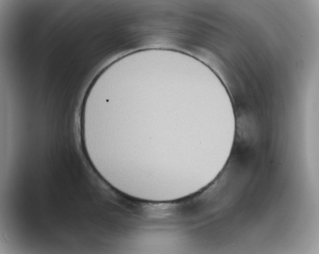 X0000089731150200707051734
