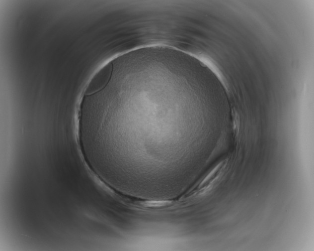 X0000089731151200707051734