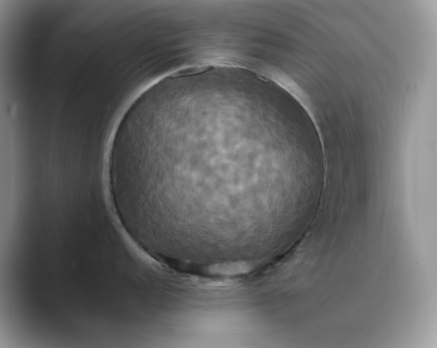 X0000089731152200707051734
