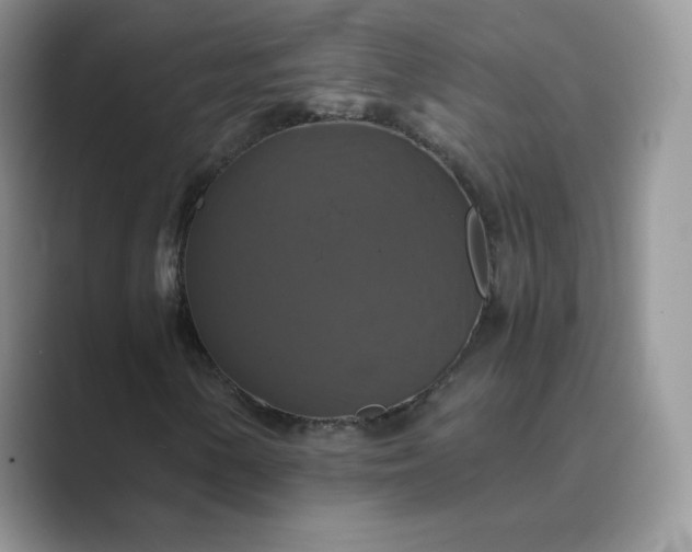 X0000089731154200707051734