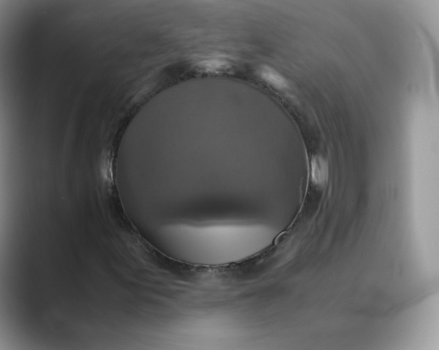 X0000089731155200707051734