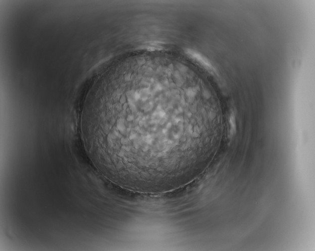 X0000089731158200707051734