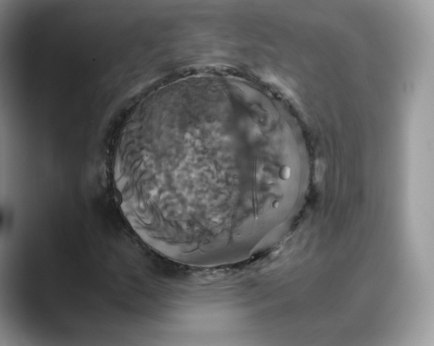 X0000089731159200707051734