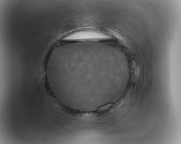 X0000089731160200707051734