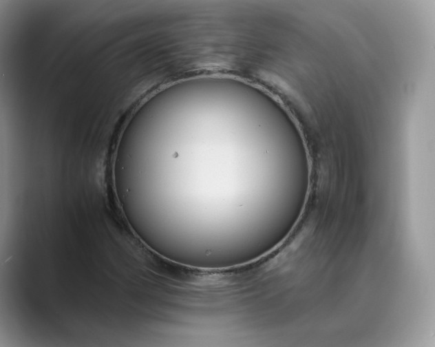X0000089731162200707051734