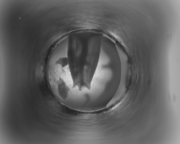 X0000089731163200707051734