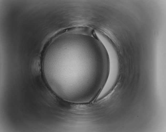 X0000089731164200707051734
