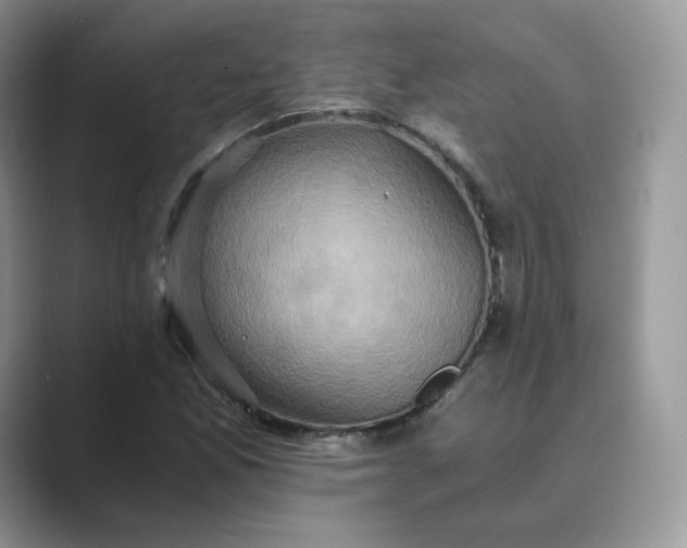 X0000089731165200707051734