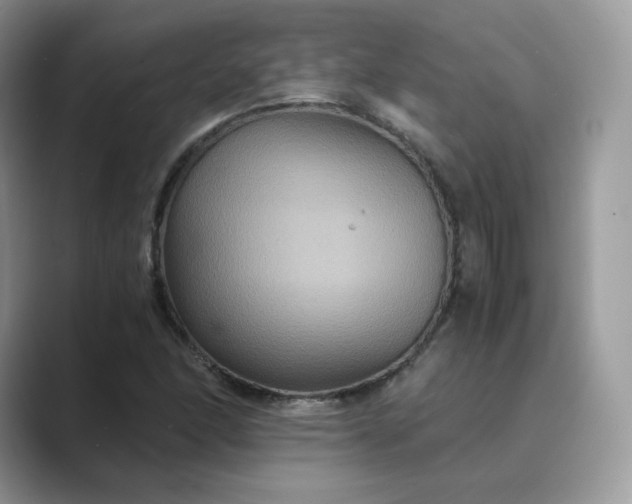 X0000089731166200707051734