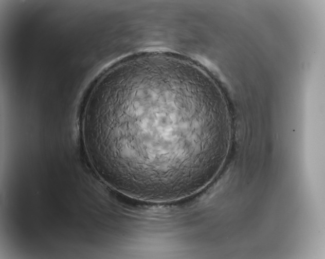 X0000089731167200707051734