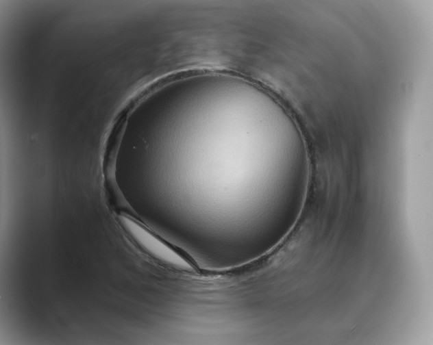 X0000089731168200707051734