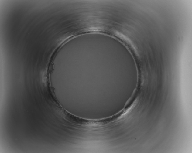 X0000089731170200707051733
