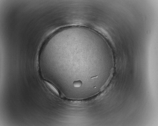 X0000089731172200707051733