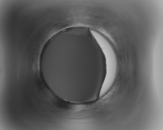 X0000089731173200707051733