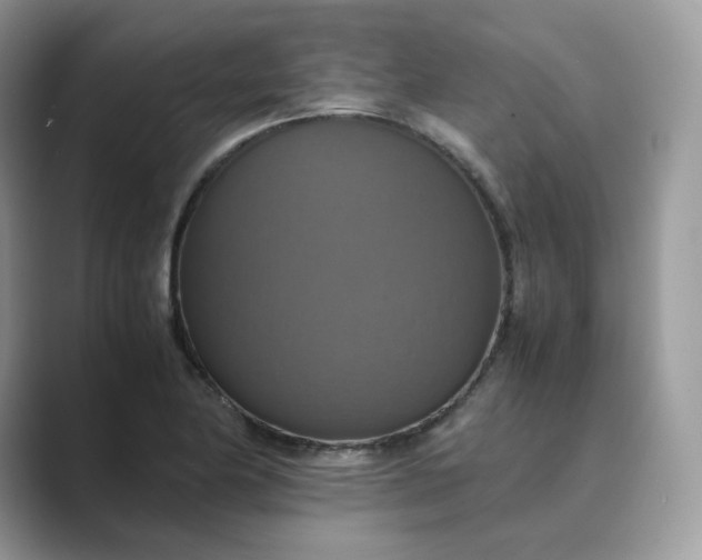 X0000089731174200707051733