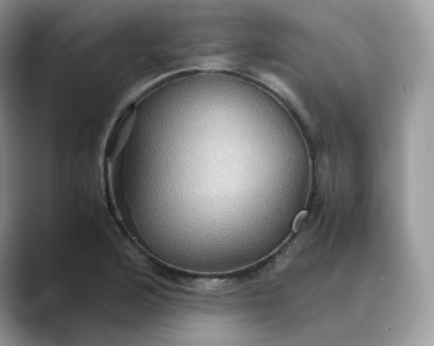 X0000089731176200707051733