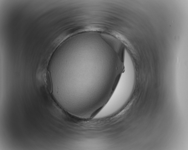 X0000089731177200707051733