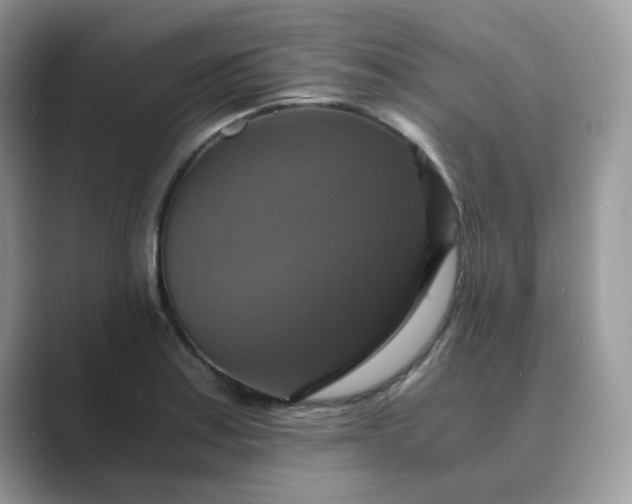 X0000089731179200707051733