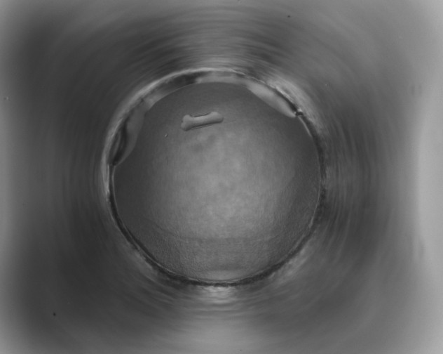 X0000089731180200707051733