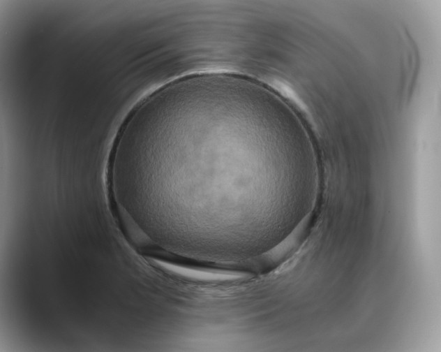 X0000089731181200707051733
