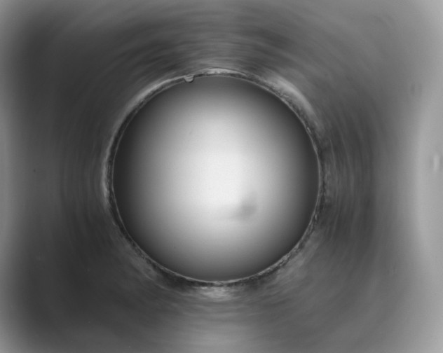 X0000089731182200707051733