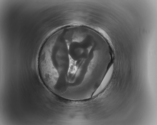 X0000089731183200707051733