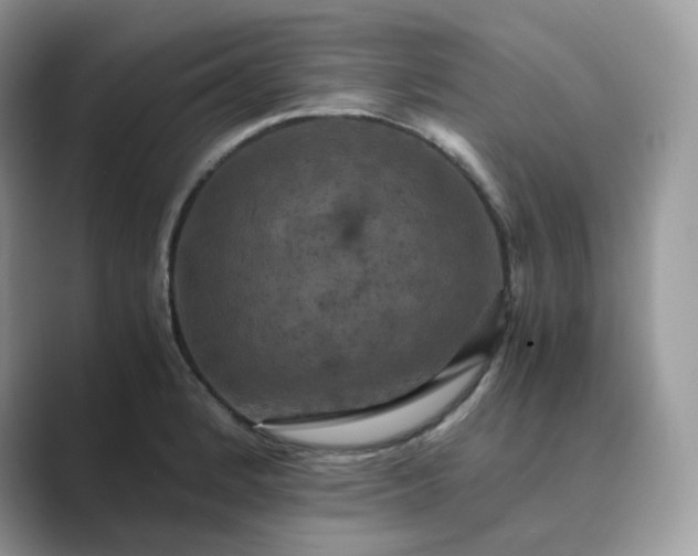 X0000089731184200707051733