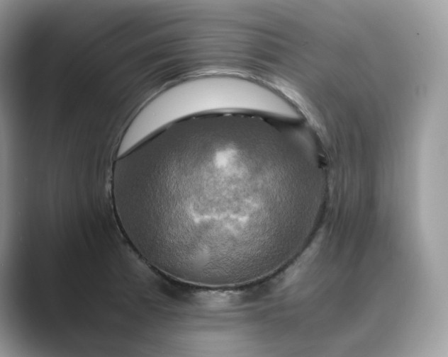 X0000089731185200707051733