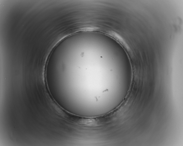 X0000089731186200707051733