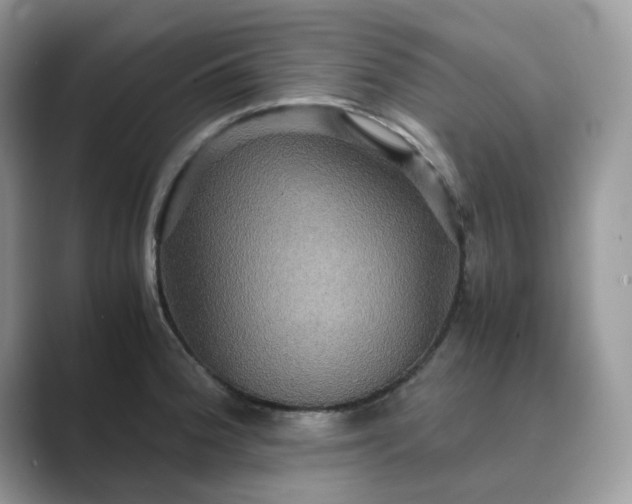 X0000089731188200707051733