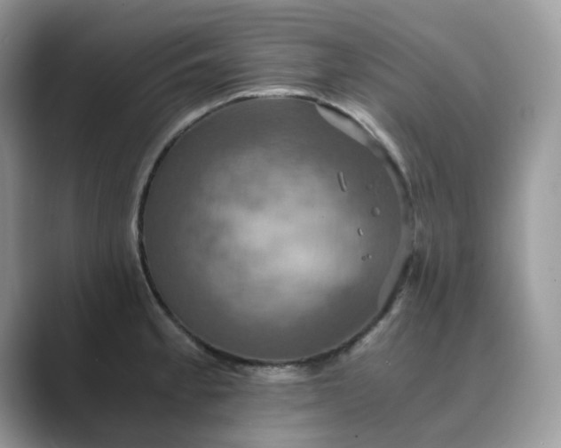 X0000089731189200707051733