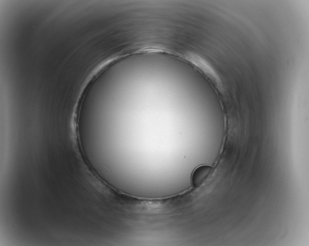 X0000089731190200707051733