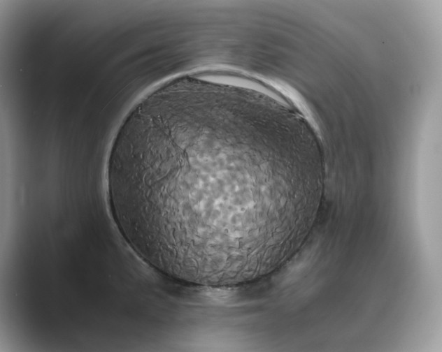 X0000089731191200707051733