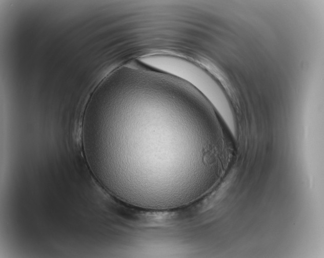 X0000089731193200707051733