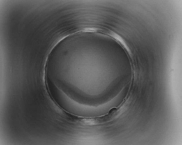 X0000089731194200707051733