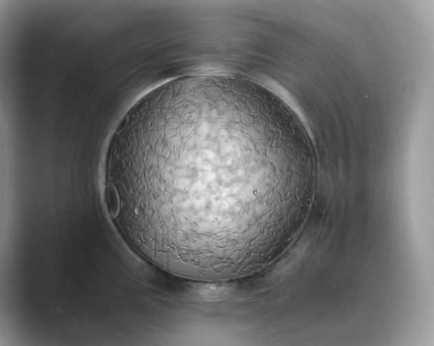 X0000089731195200707051733