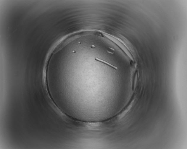 X0000089731196200707051733