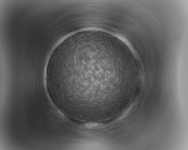 X0000089731199200707051733