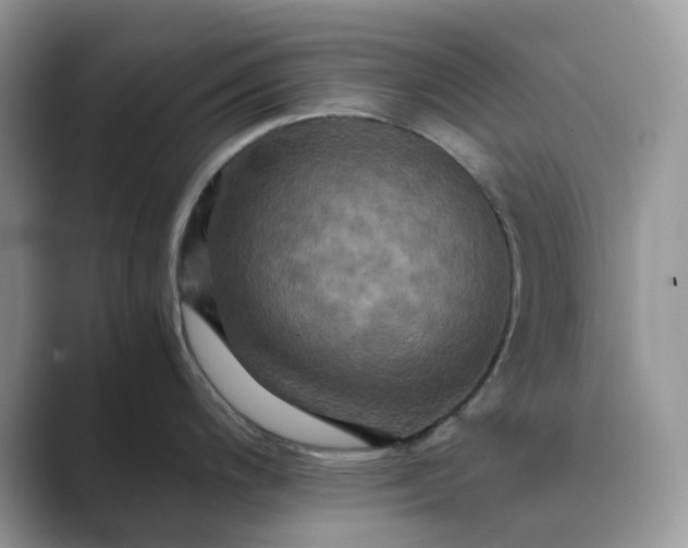 X0000089731200200707051733