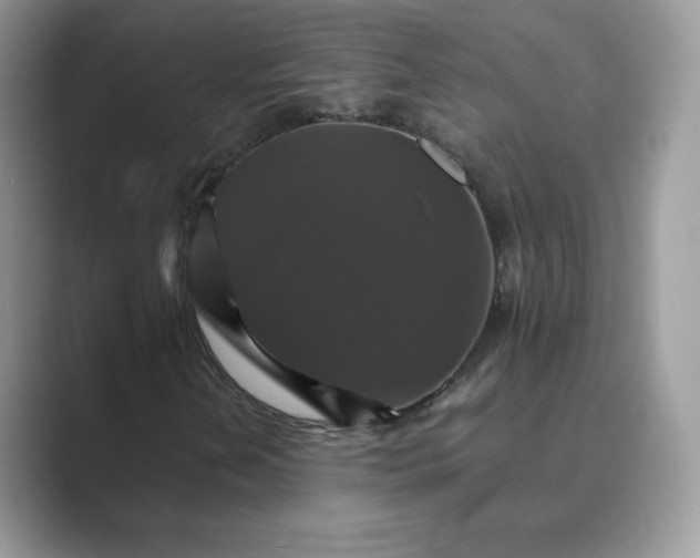 X0000089731202200707051733